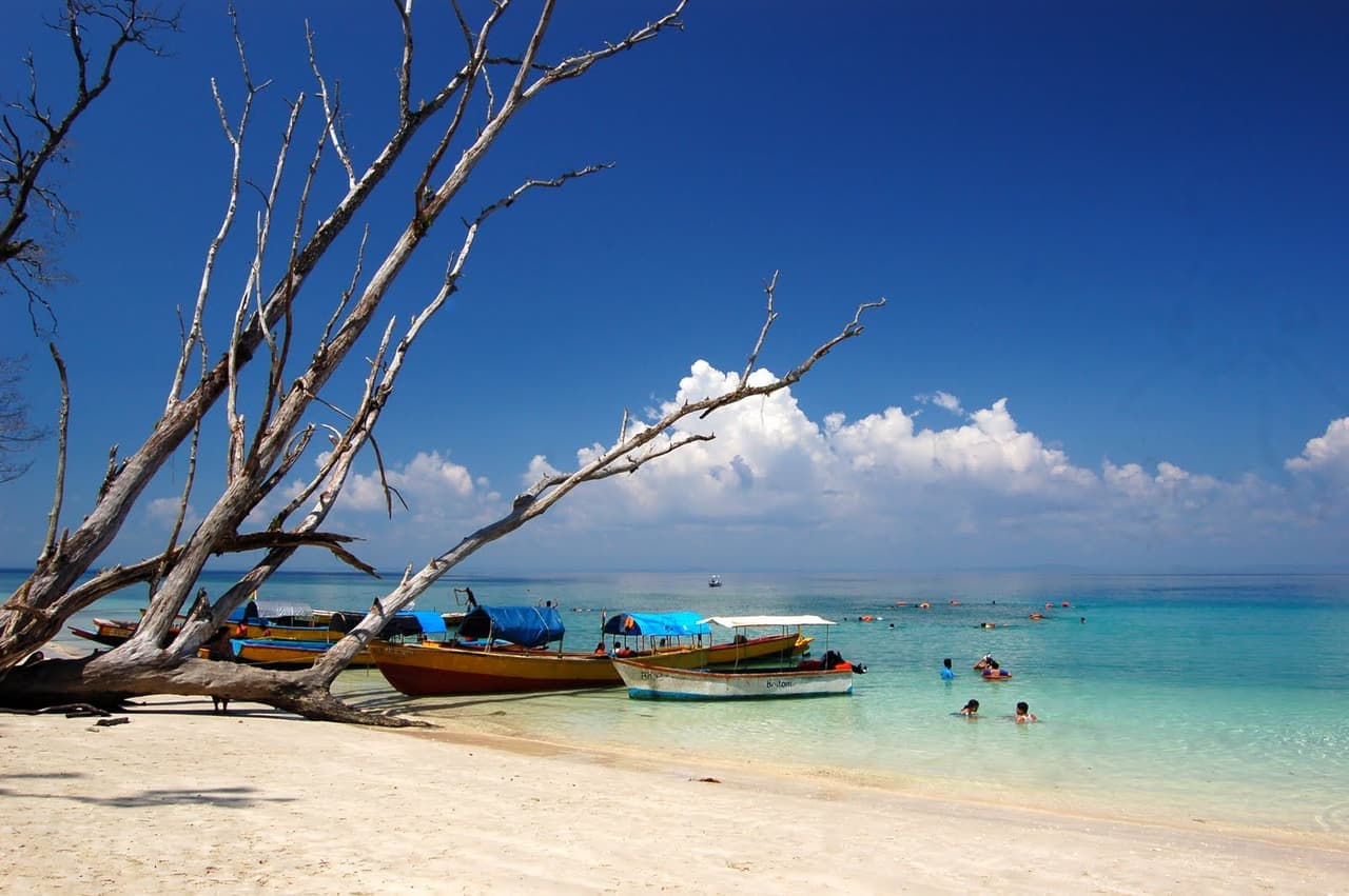 Havelock Island (Swaraj Dweep) — photo 4