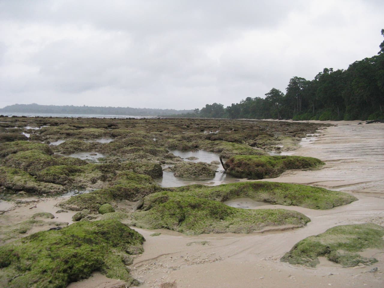 Neil Island (Shaheed Dweep) — photo 4