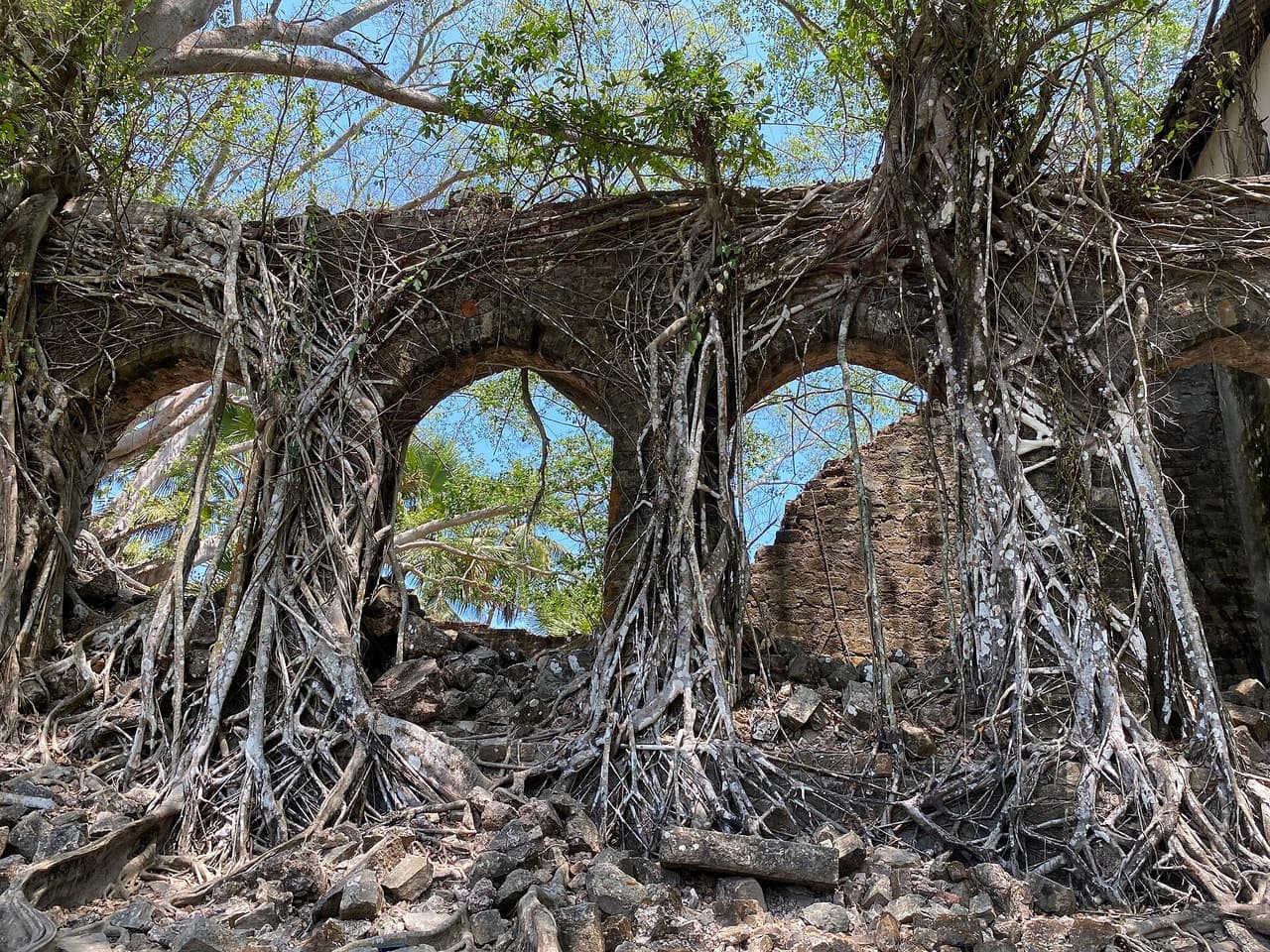 Ross Island — photo 2