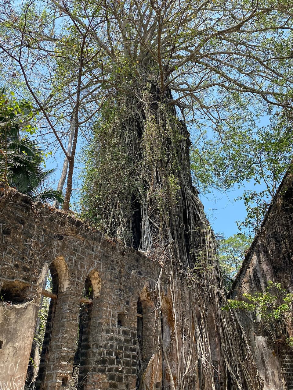 Ross Island